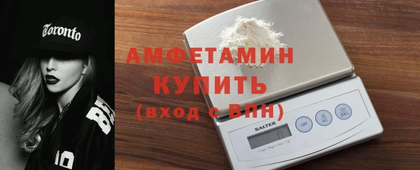 шишки Аркадак