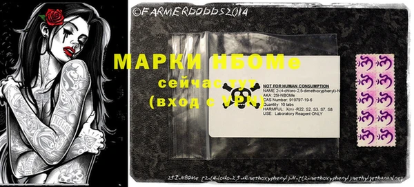 шишки Аркадак