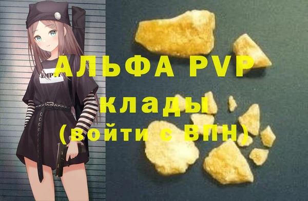 шишки Аркадак
