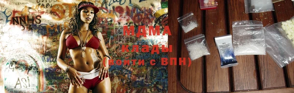 шишки Аркадак