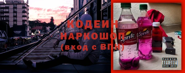 шишки Аркадак