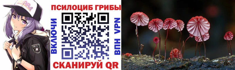 Псилоцибиновые грибы мухоморы  Чаплыгин 
